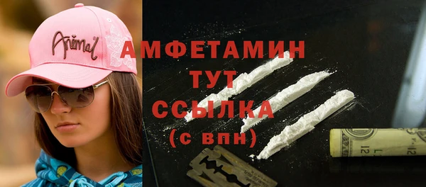 спиды Богородицк