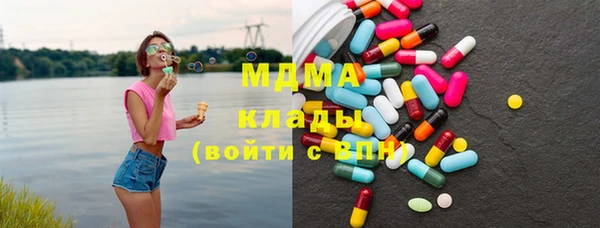 спиды Богородицк