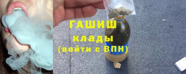 спиды Богородицк