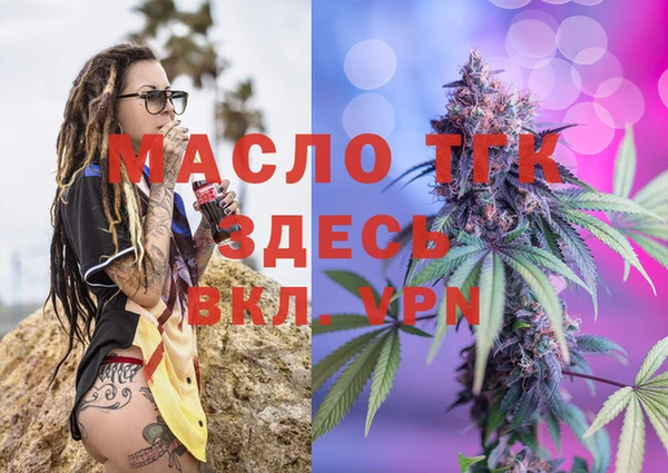 спиды Богородицк