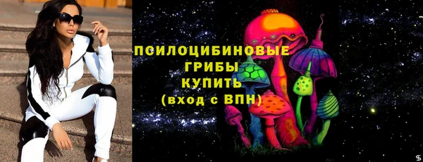 спиды Богородицк