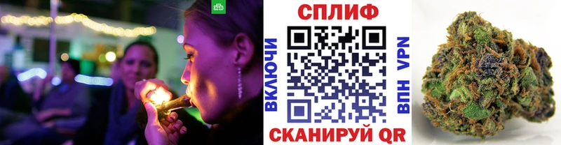 Каннабис сатива  Крым 